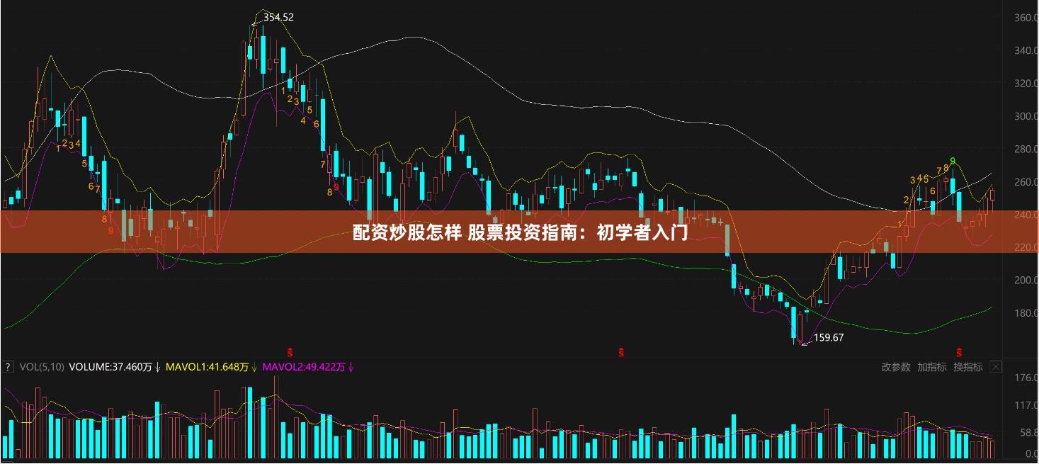 配资炒股怎样 股票投资指南：初学者入门
